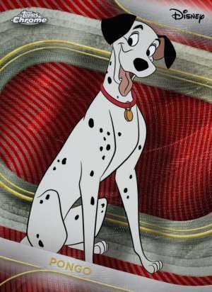 Pongo
