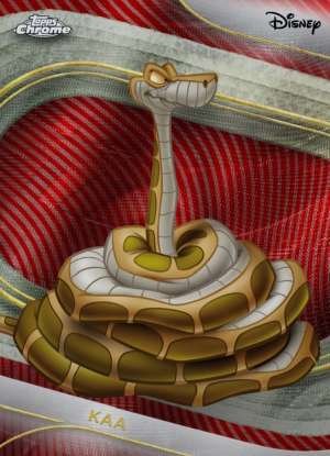 Kaa
