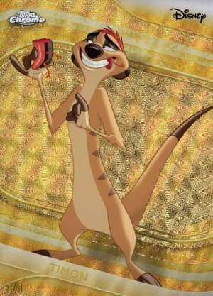 Timon
