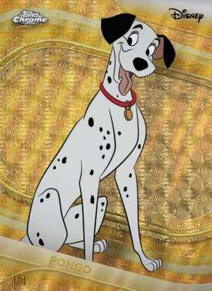 Pongo