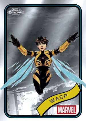 Wasp