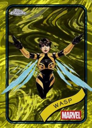 Wasp