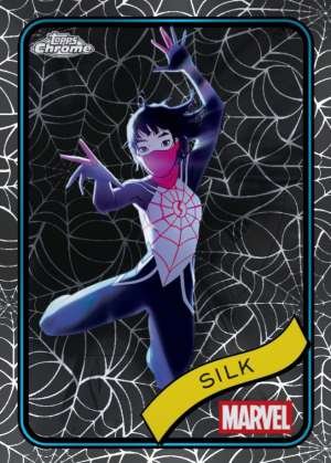 Silk