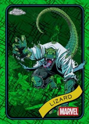 Lizard