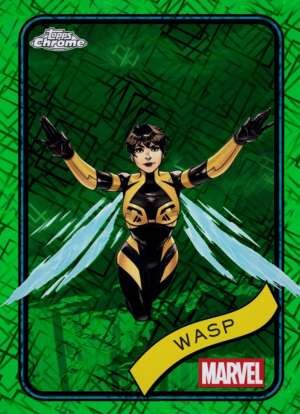 Wasp