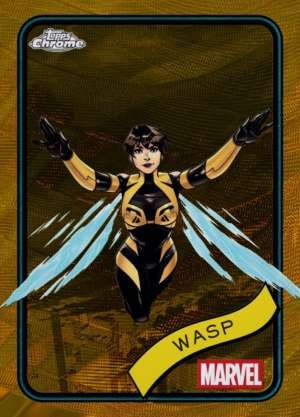 Wasp