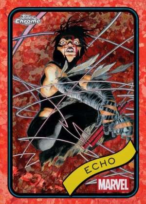Echo