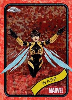 Wasp
