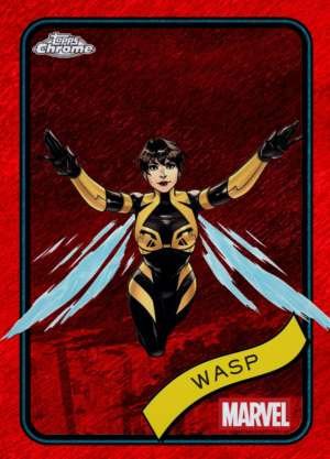 Wasp