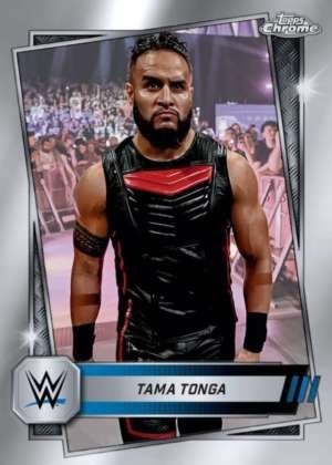 Tama Tonga - Smackdown