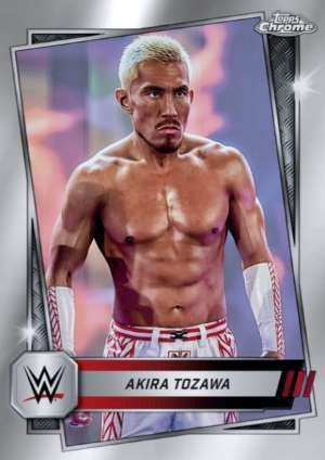 Akira Tozawa - Raw