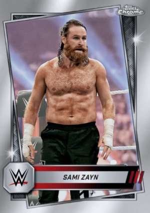 Sami Zayn - Raw
