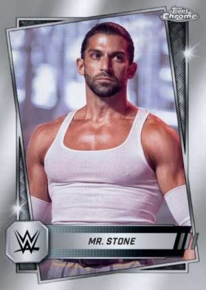 Mr. Stone - NXT