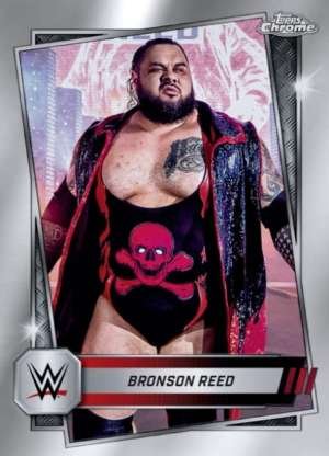 Bronson Reed - Raw