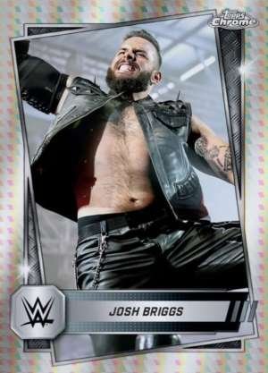 Josh Briggs - NXT