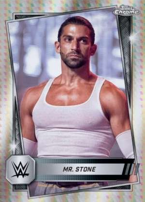 Mr. Stone - NXT