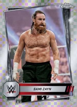 Sami Zayn - Raw
