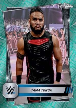 Tama Tonga - Smackdown