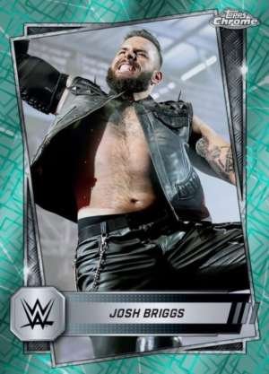 Josh Briggs - NXT