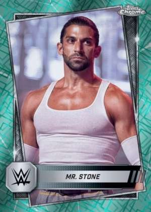 Mr. Stone - NXT