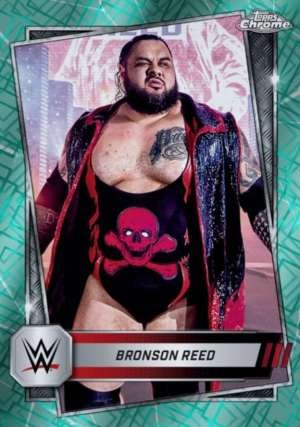 Bronson Reed - Raw