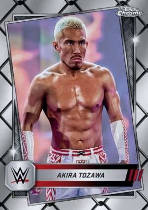 Akira Tozawa - Raw