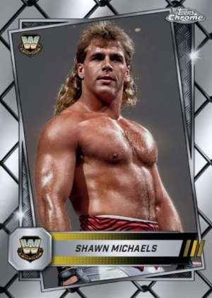 Shawn Michaels - Legend