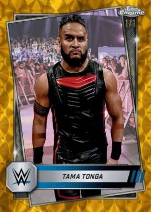 Tama Tonga - Smackdown