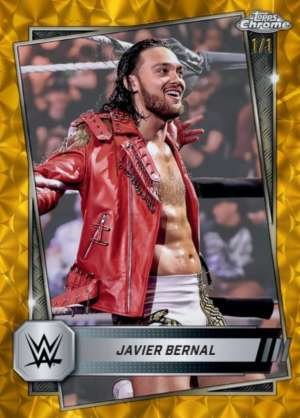 Javier Bernal - NXT