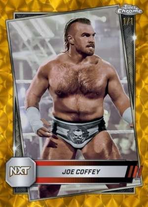 Joe Coffey - NXT