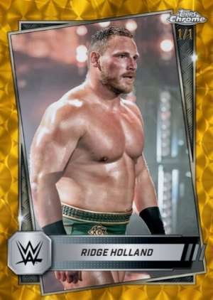Ridge Holland - NXT