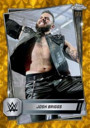 Josh Briggs - NXT
