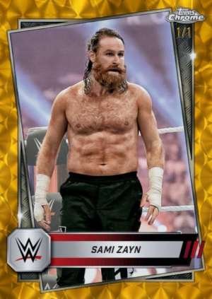Sami Zayn - Raw