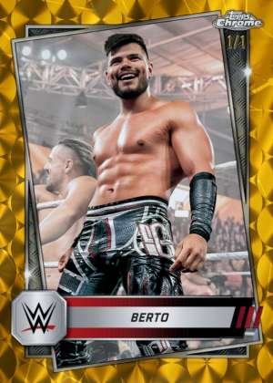 Berto - Raw