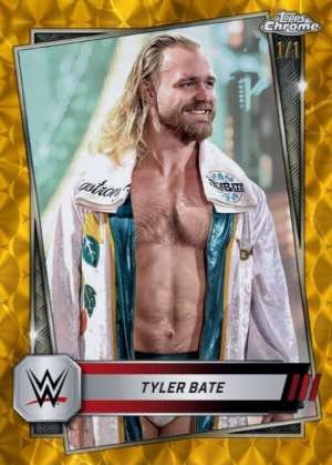 Tyler Bate - Raw