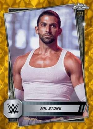 Mr. Stone - NXT