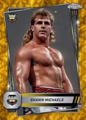 Shawn Michaels - Legend