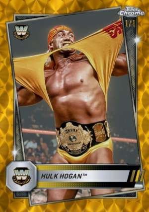 Hulk Hogan - Legend