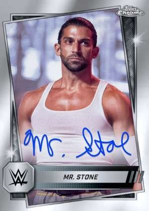 Mr. Stone - NXT