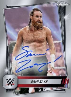 Sami Zayn - Raw