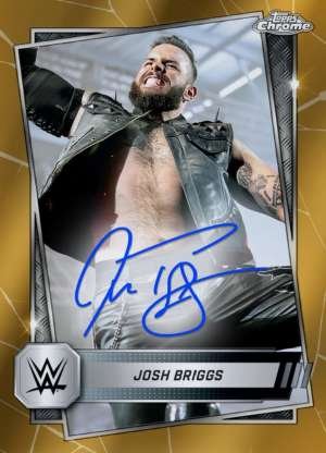 Josh Briggs - NXT