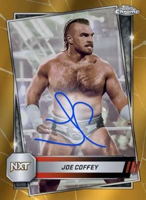 Joe Coffey - NXT