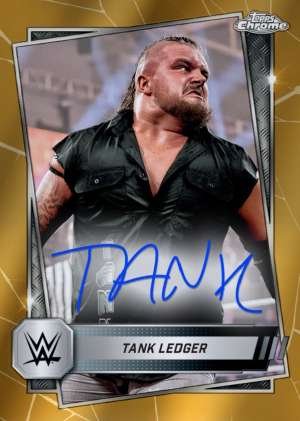 Tank Ledger - NXT