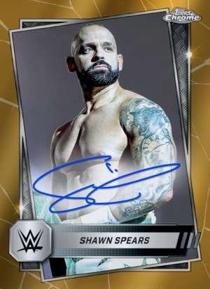Shawn Spears - NXT