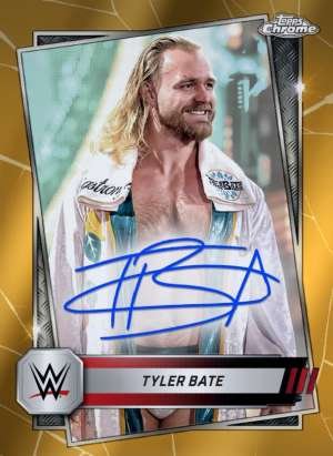 Tyler Bate - Raw