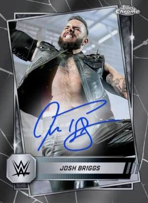Josh Briggs