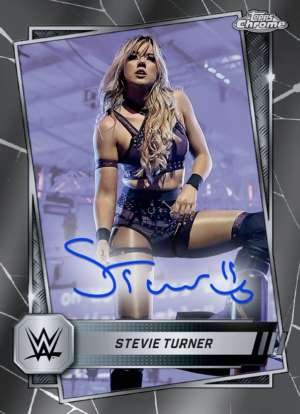 Stevie Turner