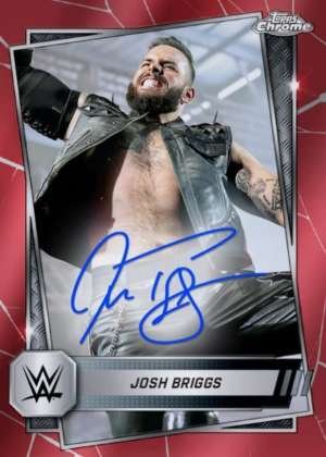 Josh Briggs