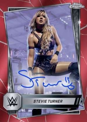 Stevie Turner