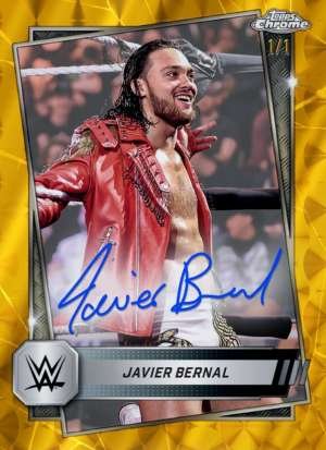 Javier Bernal